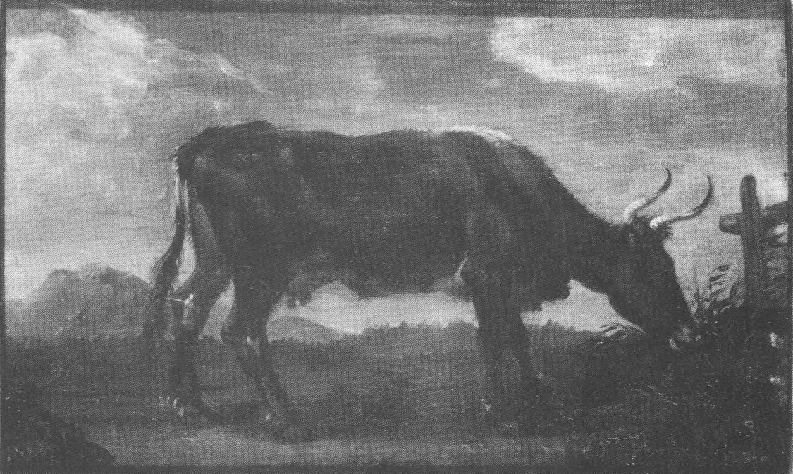 Mucca al pascolo - Pinacoteca Brera. Milano